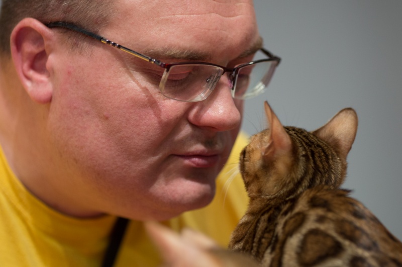 &quot;Зважений і пухнастий&quot;: кот Кекс выиграл битву гигантов на выставке в Киеве